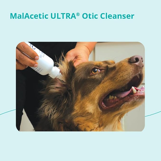MalAcetic Ultra® Otic Cleanser for Dogs, Cats and Horses, 2 FL Oz | Cleansing, Drying, Anti-Inflammatory; Packaging May Vary