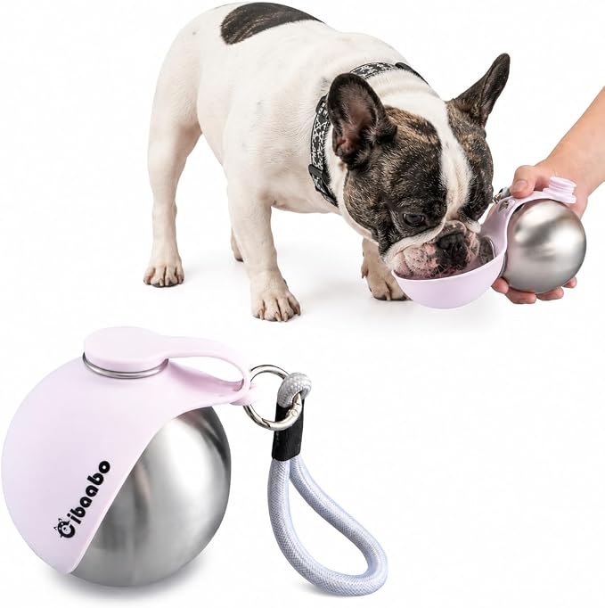Cibaabo 2 in 1 Portable Dog Water Bottle with Bowl, 10 oz Stainless Steel No-Spill Travel Pet Water Dispenser with Collapsible Silicone Bowl for Small Dog & Puppy Walking Hiking Outdoor