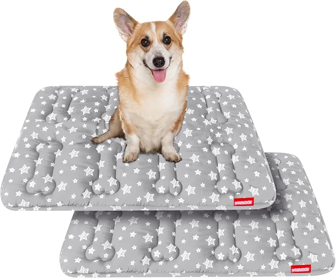 Dog Crate Mat (30" X 19") 2 Pack, Soft Dog Bed Pad Mat with Cute Prints | Personalized Crate Pad, Anti-Slip Bottom, Machine Washable Kennel Pad, Grey