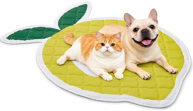 LOOBANI Dog Cooling Mat 38"x50"- Cute Lemon Design Cooling Mat for Dogs (Cool & Warm Side), Waterproof Self-Cooling Mat for Crate, Floor, Car for Small Dogs, Cats, Pet, Yellow 38x50 in