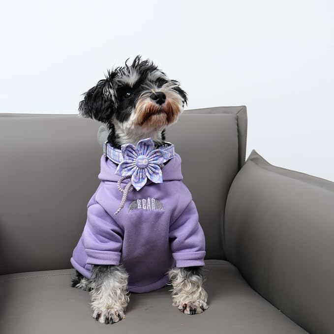 ·MR. CHUBBYFACE· Easter Dog Collar, Purple Rabbit Pet Collar with Flower, Adjustable Puppy Collar Bowtie for Small Medium Large Dogs