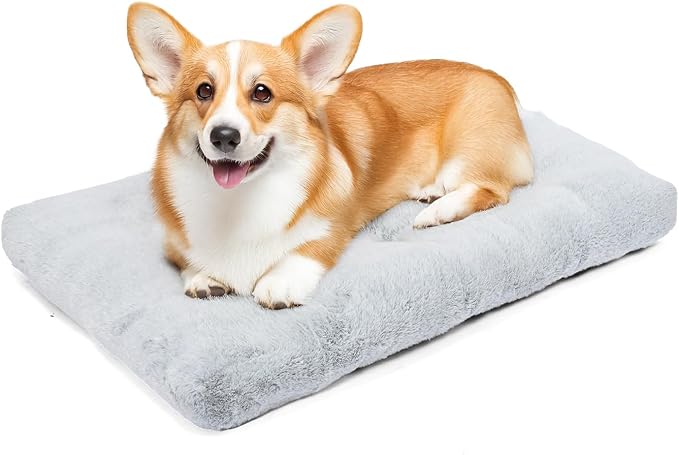 Amazon Basics Medium Dog Bed for Crate, Washable Medium Dog Mat for Pet Kennel, Anti-Slip, 36x23x3.5 Inches