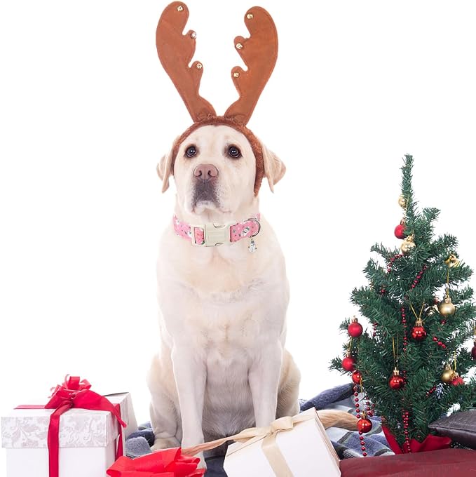 DOGWONG Christmas Snowman Dog Collar- Cute Designer Christmas Blue Dog Collars Adjustable Christmas Deer Dog Collars for Small Medium Large Dogs XL