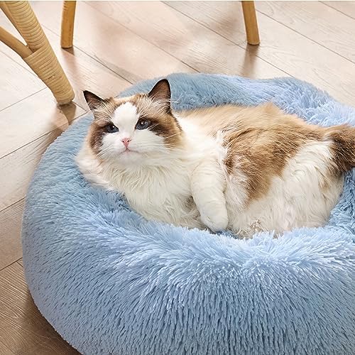 Bedsure Calming Cat Beds Donut Round Washable Kitten Bed,20 inches