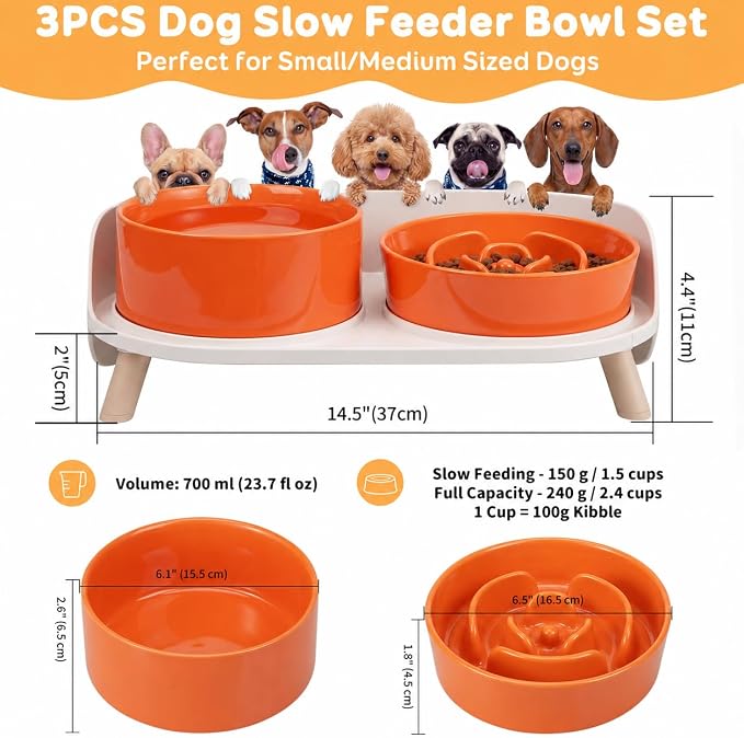 Elevated Slow Feeder Dog Bowls - Ceramic Food and Water Bowl Set with Stand - Raised Pet Dishes for Small and Medium Sized Dogs