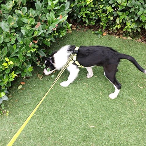 Creation Core Reflective Dog Leash Durable Padded Pet Leash Strap for Puppy Pet Leash Rope, Green 6.5Ft Long 1" Wide