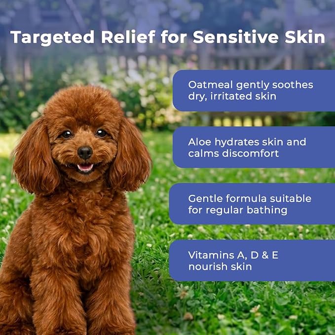 Oatmeal & Aloe Itch Relief Shampoo for Dogs & Cats (16 fl oz) | Anti Itch Shgampoo for Dogs & Cats