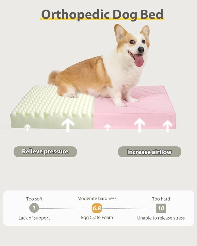 NUPIDA Orthopedic Dog Beds Large Sized Dog Waterproof Pet Kennel Pad with Removable Washable Cover and Non-Slip Bottom, 35x23 Inch, Pink