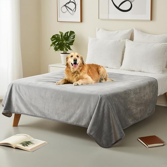 Waterproof Pet Blanket for Small Dogs and Cats | Reversible Flannel Fleece Throw Blanket for Sofa Couch Puppy Leakproof, Washable Furniture Protector 30"x40",Light Grey