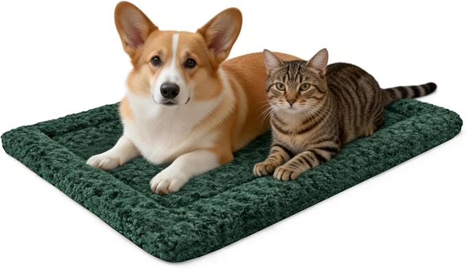 Washable Dog Bed Mat with Anti-Slip Bottom, Deluxe Plush Memory Foam Crate Pad & Waterproof Outdoor Kennel Mat for Dogs & Cats-Durable Crates Beds, Large Medium Small Puppy Size24 x 18",Green