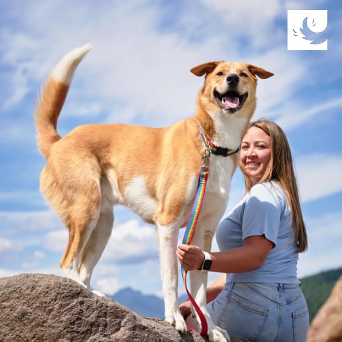 RC Pets Clip Collar | Reflective Label for Visibility Adjustable Comfortable & Secure Fit | Fresh Tracks Pink, Medium, 1-Inch