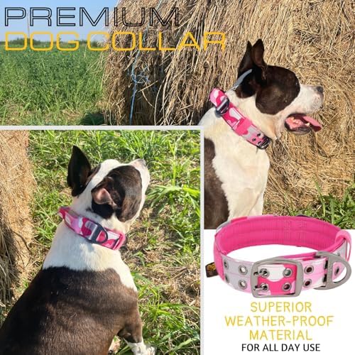 ADITYNA Heavy Duty Girl Dog Collar for Extra-Large Dogs with Traffic Handle
