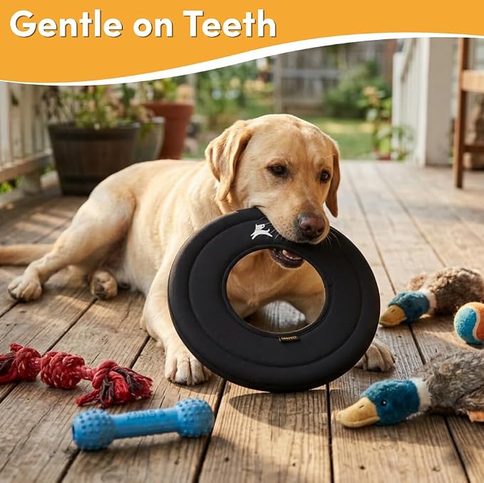 OllyDog Super Flyer Dog Flying Disc – Floating Fetch Toy for Water Play, Soft Eco-Friendly Recycled Fabric, Gentle on Teeth, 11" for Medium & Large Dogs (Raven, 11")