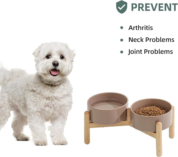 Havniva 6.1inch Ceramic Raised Dog Bowl with Stand, Double Dog Bowls Elevated for Small and Medium Breed Dog Food and Water Bowl Set Non-Slip Dog Dish Large Capacity Feeding Pet Water Bowl
