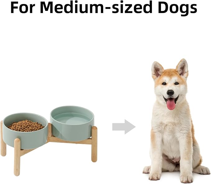 Havniva 6.1inch Ceramic Raised Dog Bowl with Stand, Double Dog Bowls Elevated for Small and Medium Breed Dog Food and Water Bowl Set Non-Slip Dog Dish Large Capacity Feeding Pet Water Bowl