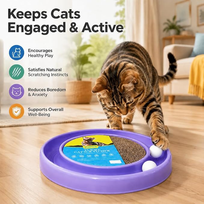 Cat Scratcher Toy Ball Track, Purple | Round Interactive Scratching Board, Exercise Set, For Indoor Cats, Mental & Physical Stimulation, For Bored Adult and Kitten