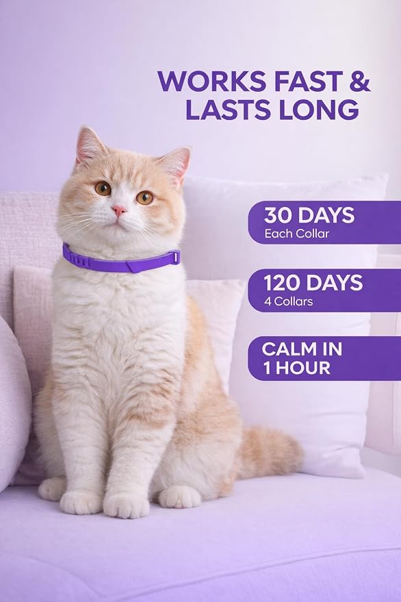 4 Pack Calming Collar for Cats: Anti Anxiety - cat Stress and Anxiety Relief, cat pheromone Collar