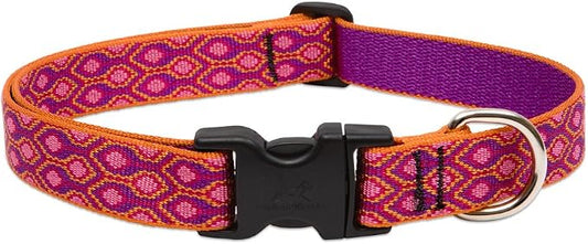 LupinePet Originals 1" Alpen Glow 16-28" Adjustable Collar for Large Dogs