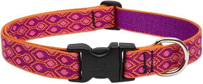 LupinePet Alpen Glow Adjustable Dog Collar for X-Large Dogs, 25-31"
