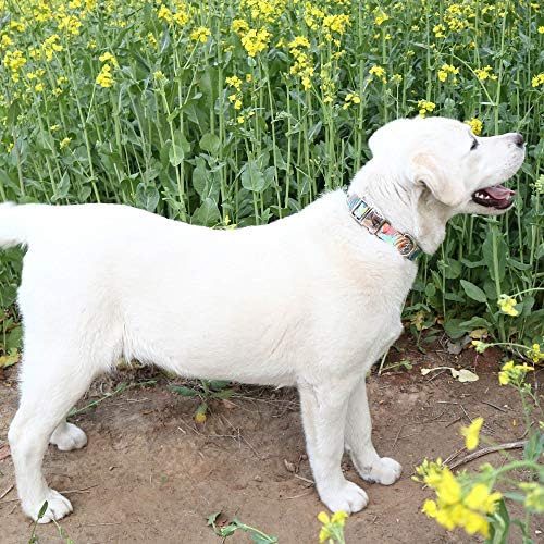 Customized Nylon Dog Collar, Personalized Dog Collar Engraved with Name and Phone Number,Adjustable ID Dog Collar with Quick-Release Buckle (S, Green)