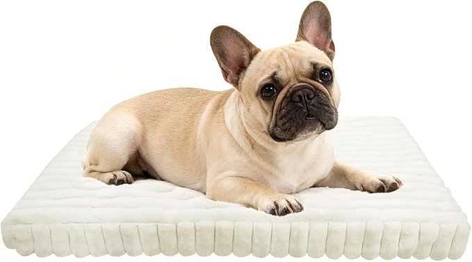 Dog Crate Bed Cream 34.6"x22.8" | Flat Dog Crate Bed Waterproof for Meduim Small Dogs Pet Beds with Plush Removable Washable Cover Anti Slip Bottom for Indoor