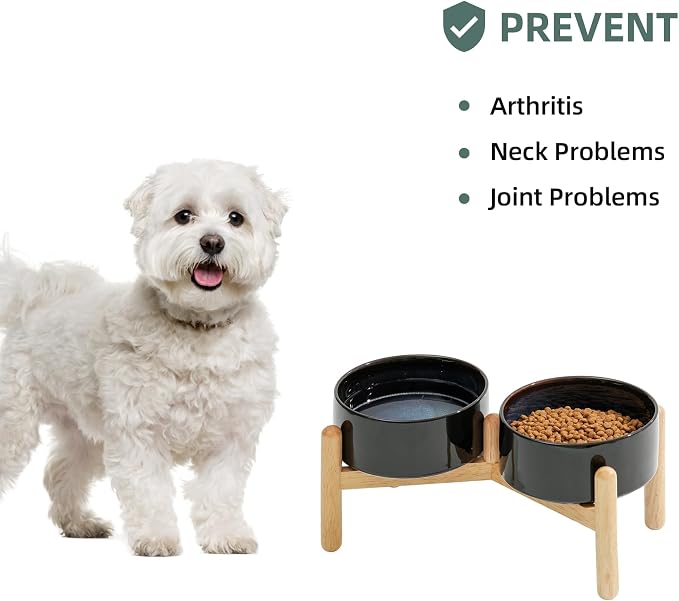 Havniva 6.1inch Ceramic Raised Dog Bowl with Stand, Double Dog Bowls Elevated for Small and Medium Breed Dog Food and Water Bowl Set Non-Slip Dog Dish Large Capacity Feeding Pet Water Bowl