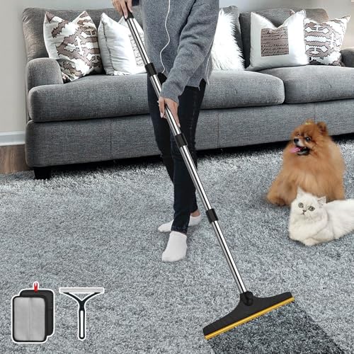 B-Land Carpet Rake for Pet Hair Removal, Reusable Carpet Scraper Broom