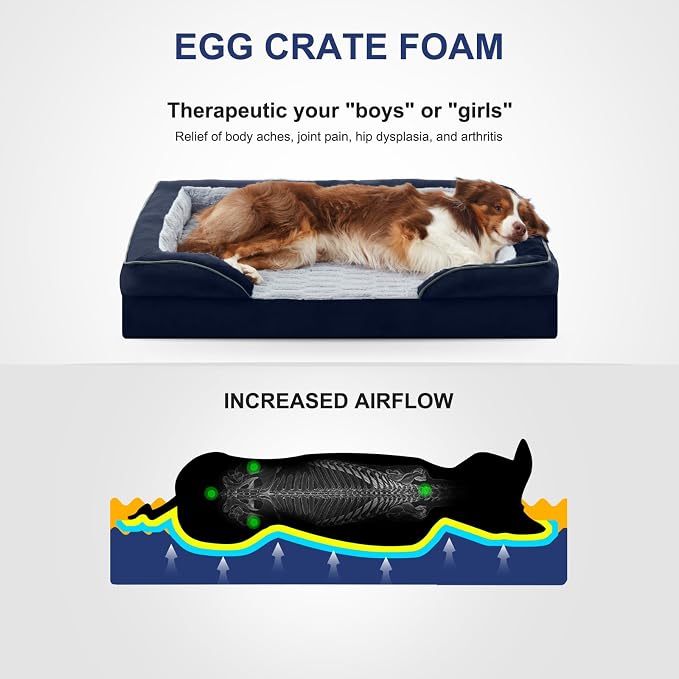 FURTIME Orthopedic Dog Bed for Medium Size Dog, Waterproof Dog Beds, 35x25x6.5 Supportive Foam Pet Couch Bed with Removable Washable Cover and Nonskid Bottom