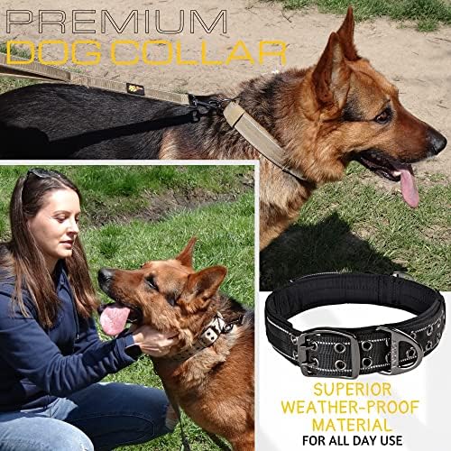 ADITYNA Heavy Duty Black Dog Collar for Medium Dogs with Traffic Handle