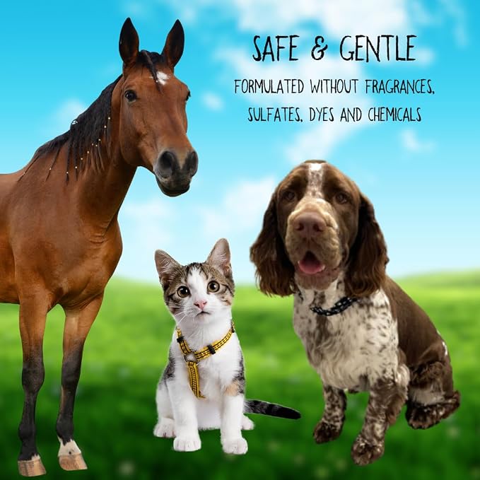 Brittanie's Natural Itchy Skin Relief Pet Shampoo, Honey & Oatmeal 1 Gallon | For Dogs & Cats, For Allergies and Itching, Deodorizes, Moisturizes & PH Balanced