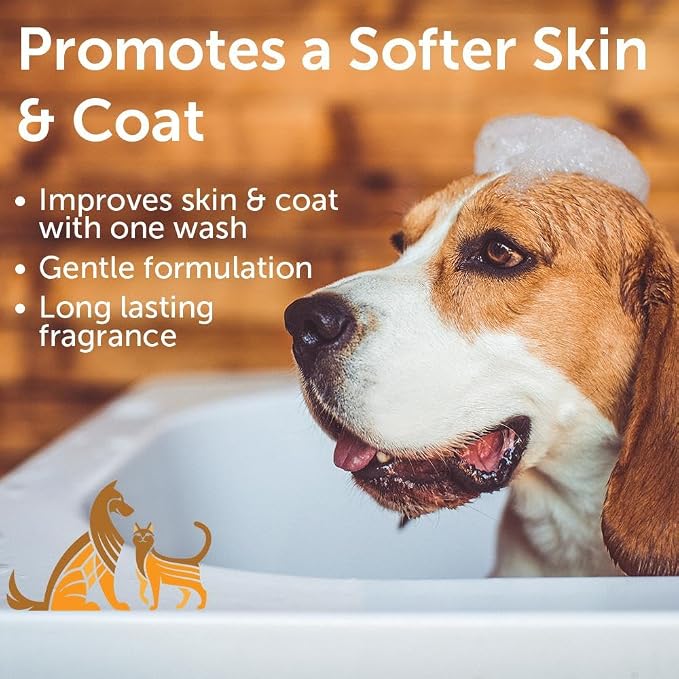 Nootie - Pet Shampoo for Sensitive Skin - Revitalizes Dry Skin & Coat - Natural Ingredients - Gentle Dog Shampoo - Cleans & Conditions,16 oz