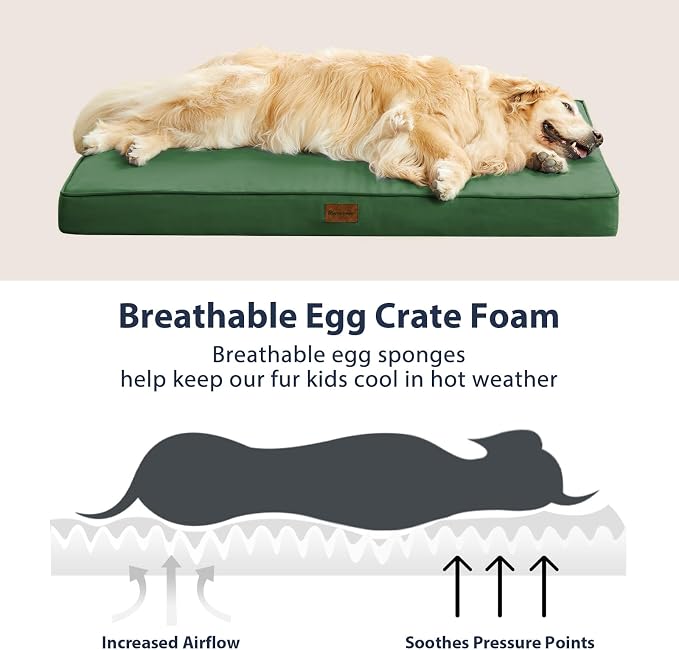 BFPETHOME Outdoor Waterproof Dog Bed for Large Dogs, Washable Cover, 36" | Outdoor & Indoor Use, Waterproof, For Medium, Large, Extra Large Dogs, Orthopedic, Egg Crate Foam, Up to 60 lbs
