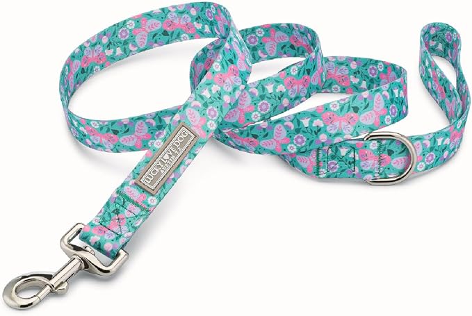 Lucky Love Dog Collar and Leash Combo, Vivid Floral Matching Girl Dog Leash and Collar Set for Small Dogs - (Mariposa Combo, Small)