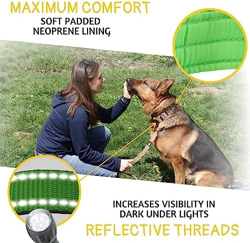 ADITYNA Heavy Duty Dog Collar for Medium Dogs with Traffic Handle