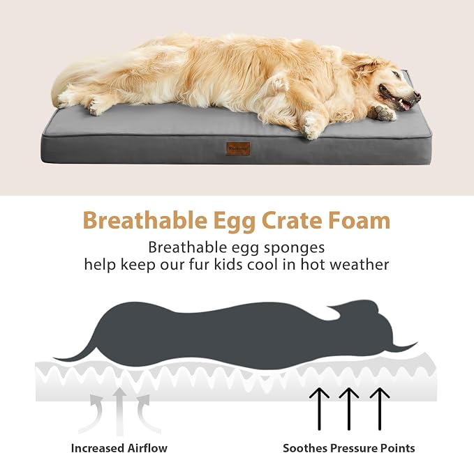BFPETHOME Outdoor Waterproof Dog Bed for Large Dogs, Washable Cover, 54" | Outdoor & Indoor Use, Waterproof, For Medium, Large, Extra Large Dogs, Orthopedic, Egg Crate Foam, Up to 130 lbs