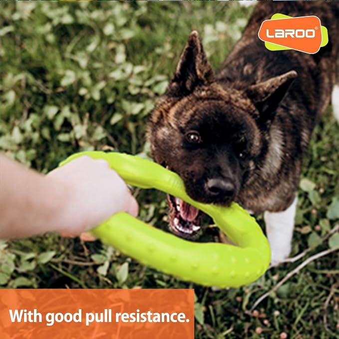 LaRoo Dog Flying Ring Toys, Floating Flying Disc Toys, Summer Pet Training Outdoor Durable Chew Toys for Medium and Large Dogs (Medium Green/22cm)