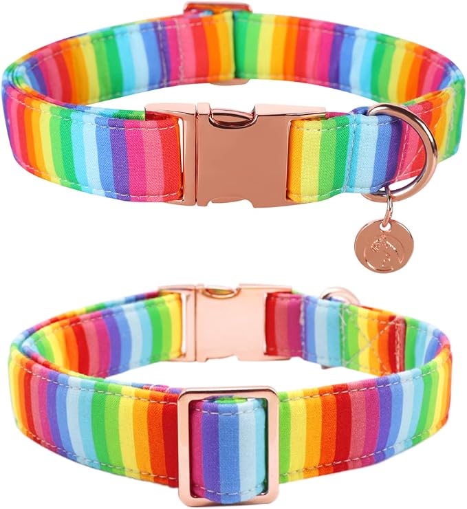 DOGWONG Rainbow Dog Collar with Pretty Bow Tie for LGBT Pride Month - Adjustable and Comfortable Collar for Large Medium Small Dog,XS