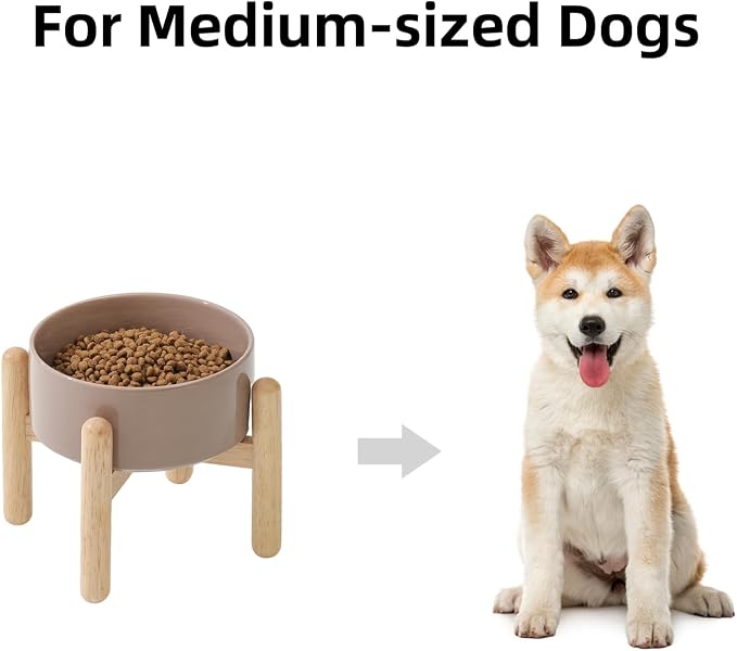 Havniva 6.1inch Ceramic Raised Dog Bowl with Stand, Elevated Dog Bowls for Small and Medium Breed Dog Food and Water Bowl Non-Slip Dog Dish Large Capacity Feeding Pet Water Bowl