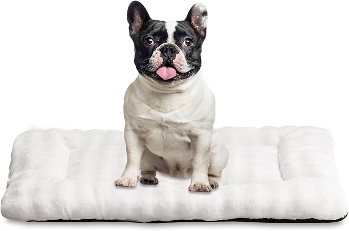 Dog Bed Mat Crate Pad for Medium Dogs, Cream White, 30"x 19" | Washable Soft Pet Sleeping Mat, Anti-Slip Kennel Pad with 3D Bubble Pattern
