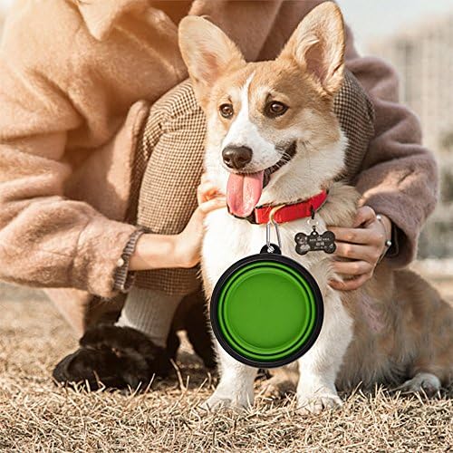 Guardians Large Collapsible Dog Bowls, 34oz Travel Water Food Bowls Portable Foldable Collapse Dishes with Carabiner Clip, 2 Pack (Green+Blue)