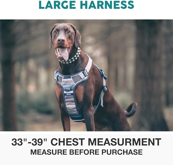 Embark Adventure Large Dog Harness – No-Pull, Reflective Trim, Military-Grade Nylon, Front Clip with Gel-Lined Handle, Soft & Padded, Suitable for All Breeds