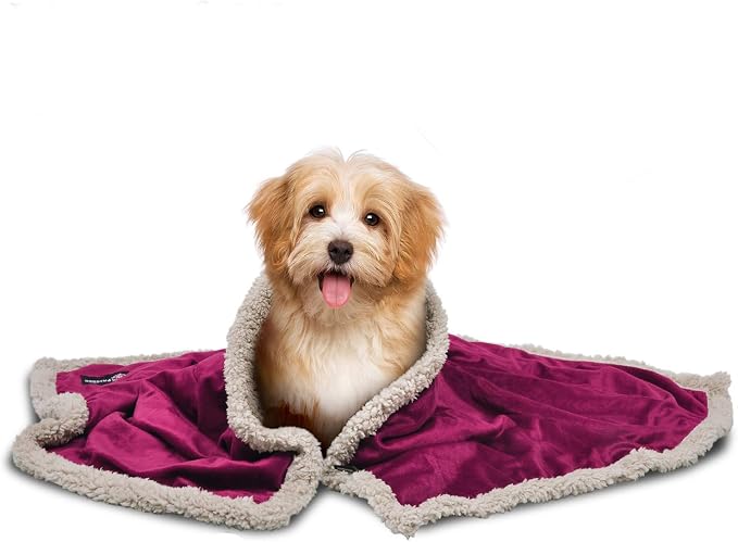 Pawsse Sherpa Puppy Blanket for Small Dogs Kitten, Warm Flannel Plush Pet Bed Blanket Reversible, 45"x30" Wine/Tan