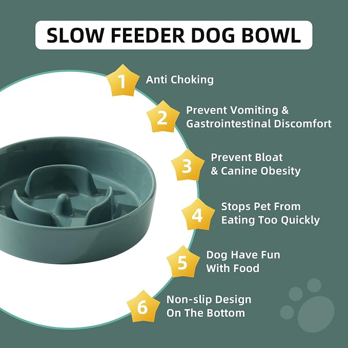Havniva Ceramic Slow Feeder Dog Bowls, 0.9 Cups Dog Bowl Slow Feeding for Small Breed, 6.1inch Puzzle Dog Food Bowl Slow Feeder Non-Slip Anti-Gulping and Anti-Choking Reduces Bloating