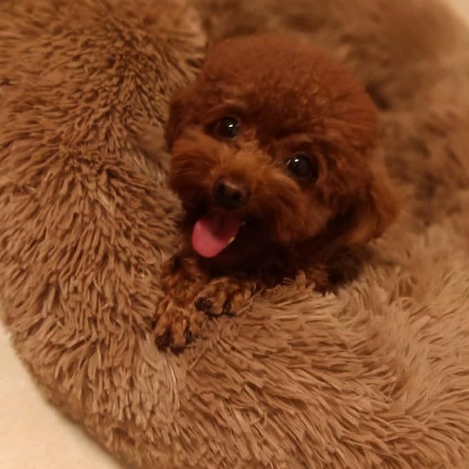 Faux Fur Dog Bed Cat Bed,Shag Round Anti-Anxiety Pet Calming Bed Doughnut Cuddler for Medium Large Puppy Dog Cat Kennel Cushion Self Warming Bed (28'' D x 8'' H, Coffee)