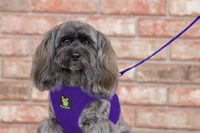EcoBark Rapid Fastener Super Comfort Fully Adjustable Double Padded Step in Dog Harness (Large, Purple)