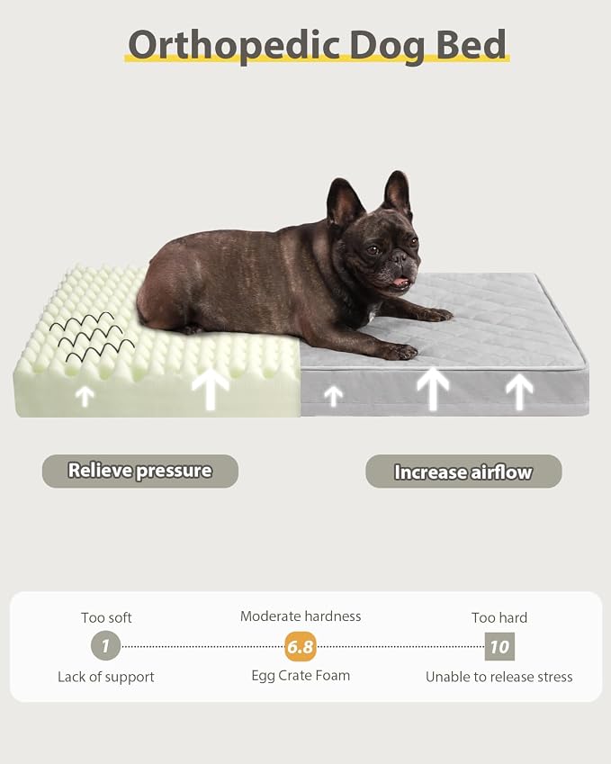 NUPIDA Orthopedic Dog Beds for Medium Dogs Waterproof Dog Bed for Crate, with Removable Washable Cover and Non-Slip Bottom, 29x18 Inch, Light Gray