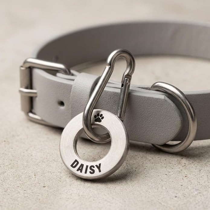 Solid Brass or Stainless Steel, Deep Engraved & Polished Dog/Pet ID Tag