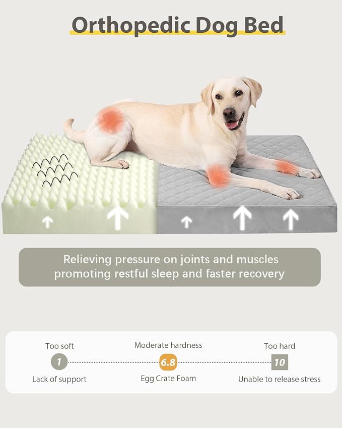 NUPIDA Orthopedic Dog Beds for Extra Large Dogs, 47x29 Inch, Light Gray | Waterproof, Removable Machine Washable Cover with Zipper, Non-Slip Bottom, Egg Crate Foam, Cozy Velvet, Fit Dog Crate kennel