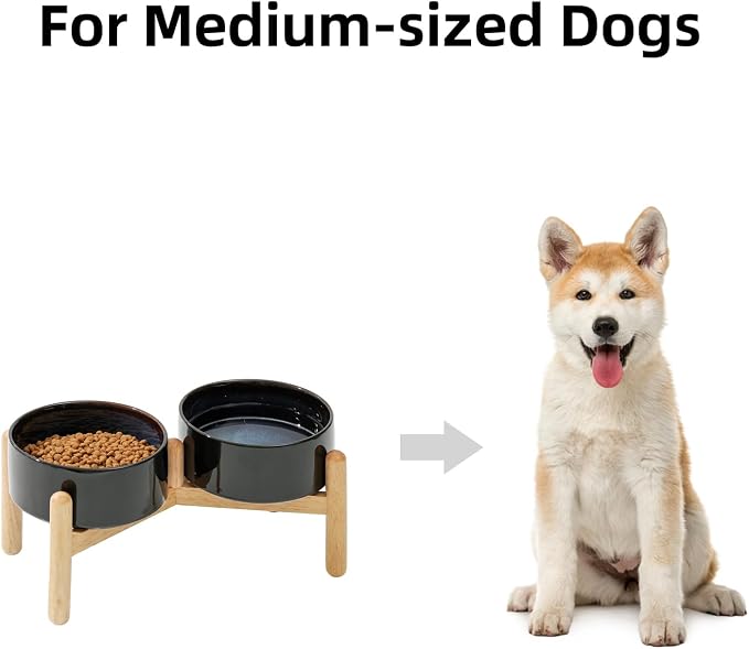 Havniva 6.1inch Ceramic Raised Dog Bowl with Stand, Double Dog Bowls Elevated for Small and Medium Breed Dog Food and Water Bowl Set Non-Slip Dog Dish Large Capacity Feeding Pet Water Bowl