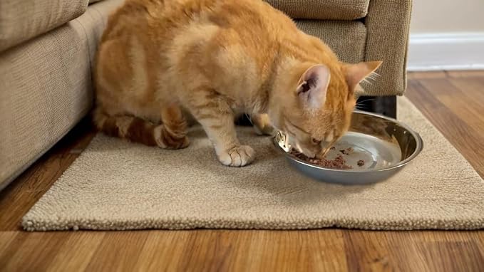 12 PCS Thickened Stainless Steel Cat Bowls, 5.5 Inch Shallow Wide Flat Metal Kitten Food Bowls, Whisker Friendly Fatigue Relief Replacement Basic Pet Dishes for Indoor Cats
